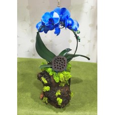 Kütük Saksıda Mavi Orkide