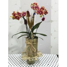Kütük Bambu Saksıda Orkide